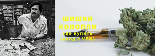 прущие грибы Новодвинск
