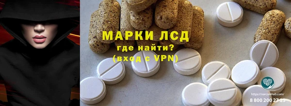 соль ск Новозыбков