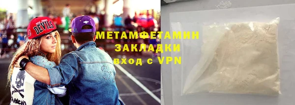 прущие грибы Новодвинск