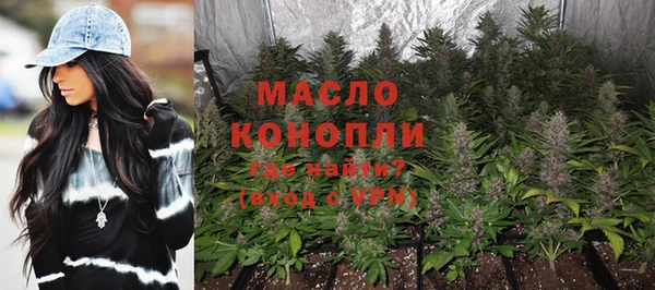 соль ск Новозыбков