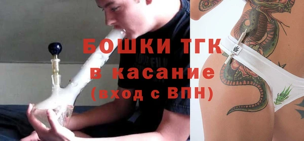 прущие грибы Новодвинск