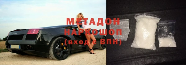 прущие грибы Новодвинск
