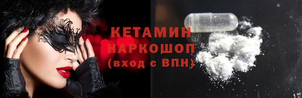 соль ск Новозыбков