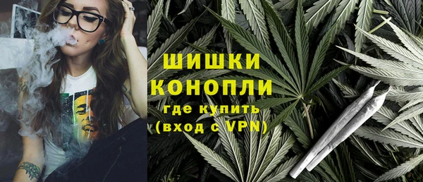 прущие грибы Новодвинск