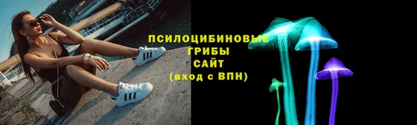 соль ск Новозыбков