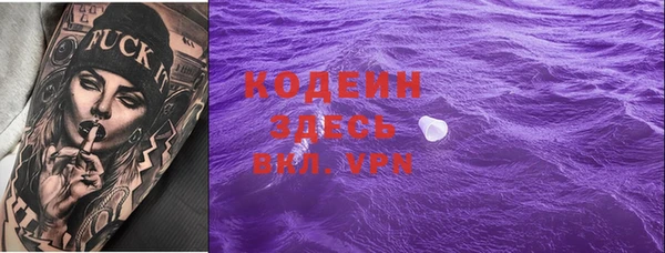 прущие грибы Новодвинск