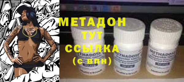 прущие грибы Новодвинск