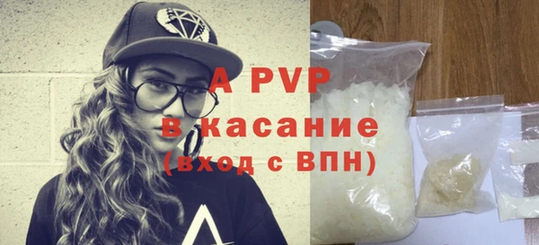 соль ск Новозыбков