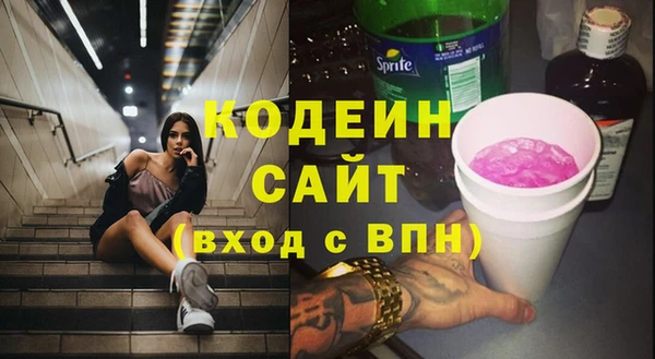 соль ск Новозыбков