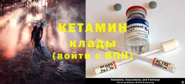 прущие грибы Новодвинск