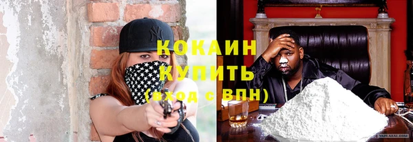 соль ск Новозыбков