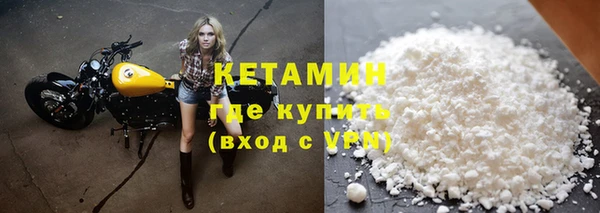 прущие грибы Новодвинск