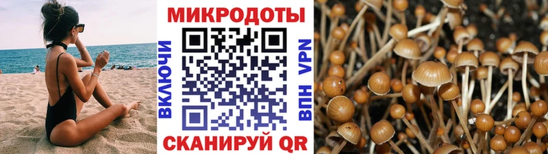 маркетплейс формула  Дербент  Галлюциногенные грибы Psilocybe  MEGA ТОР 