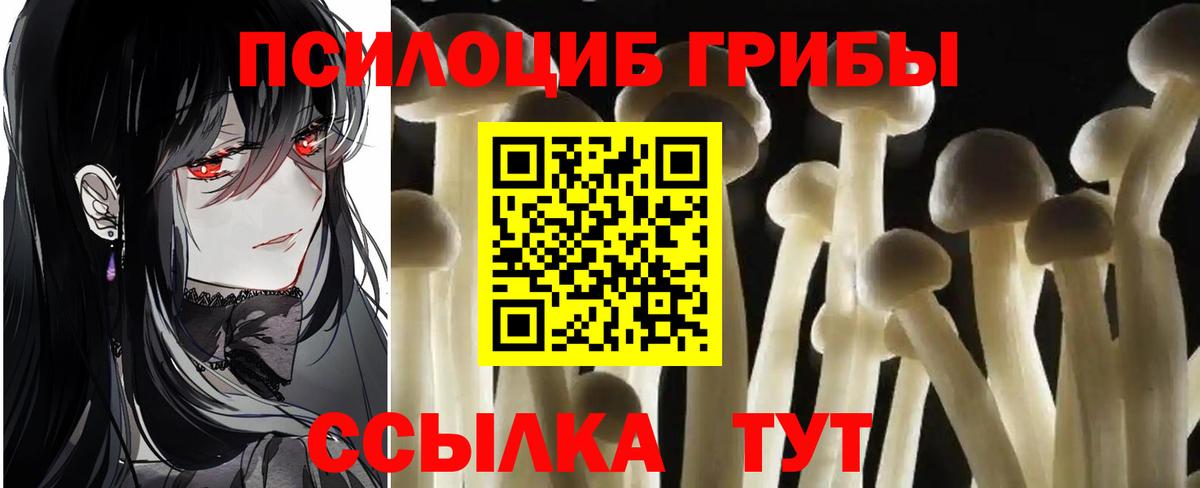 Галлюциногенные грибы мухоморы  Вход с VPN  Дербент 